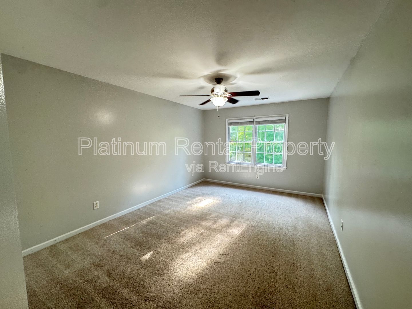 Gallery Image 31