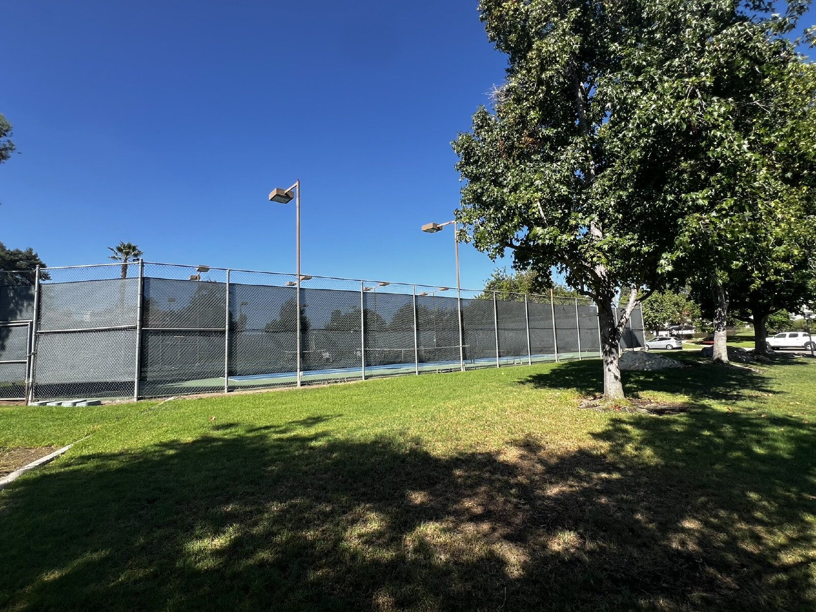Gallery Image 11