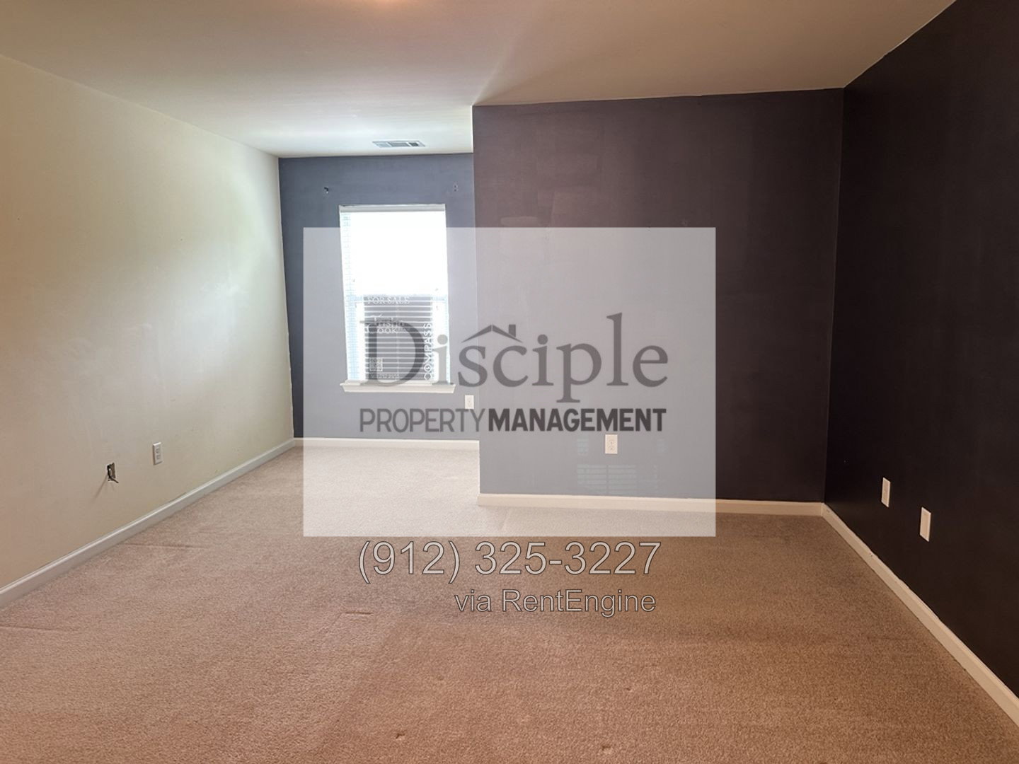 Gallery Image 41