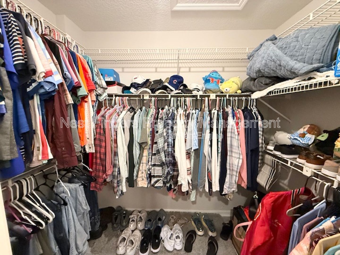 Gallery Image 20