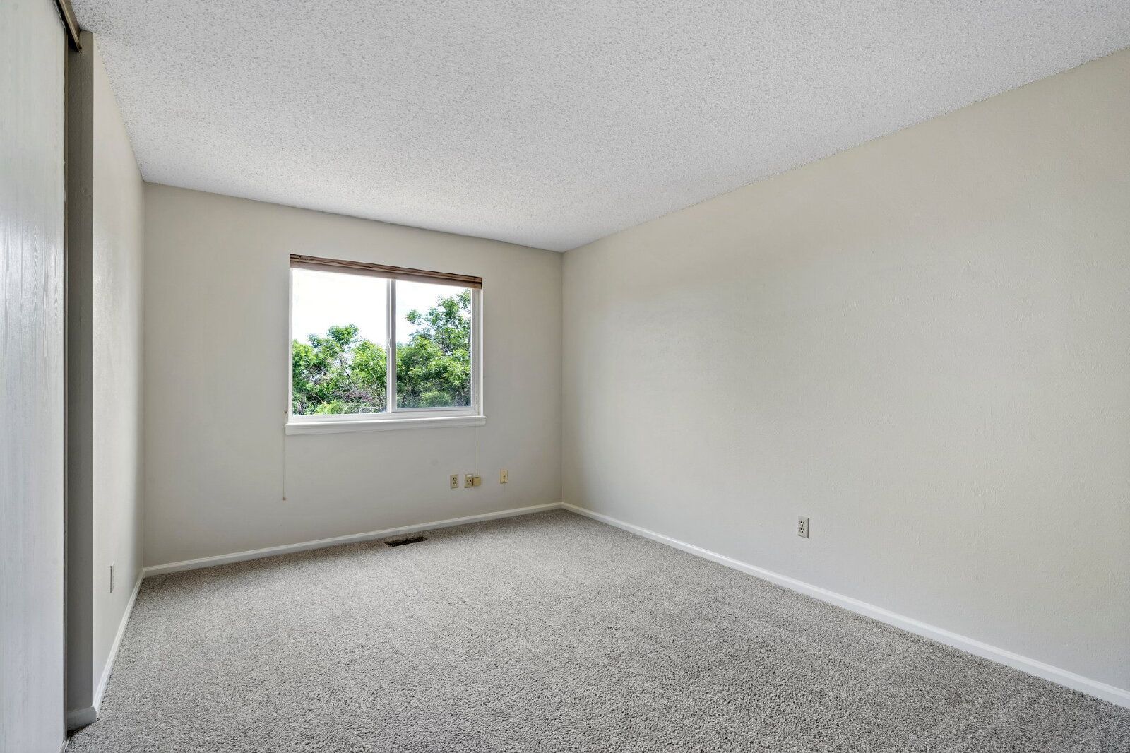 Gallery Image 19