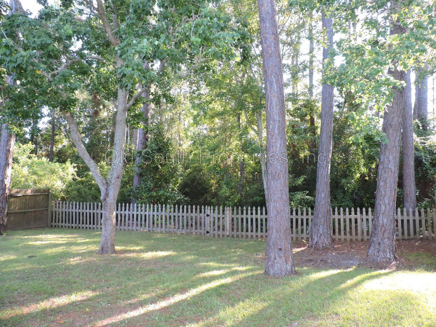 Gallery Image 20