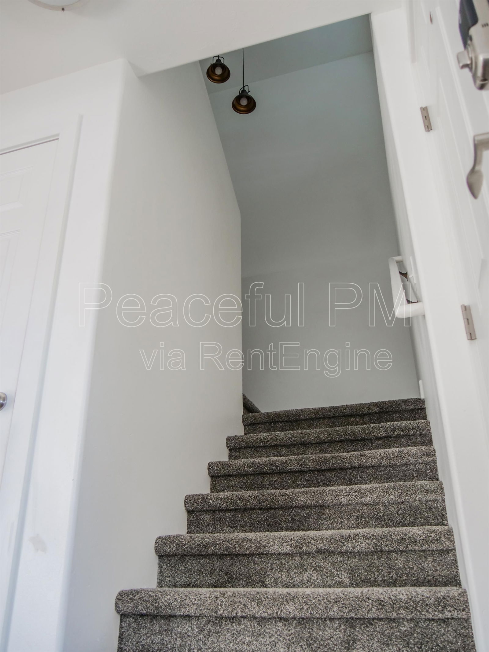 Gallery Image 16