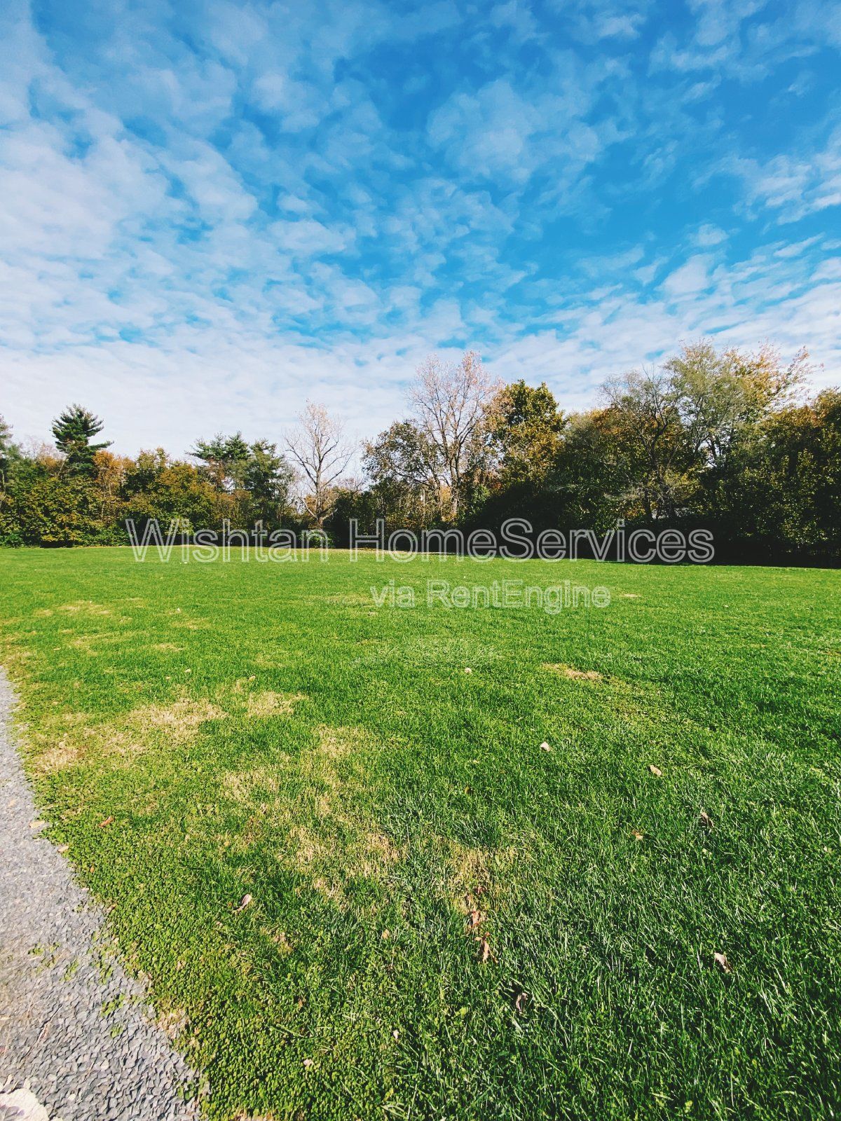 Gallery Image 16