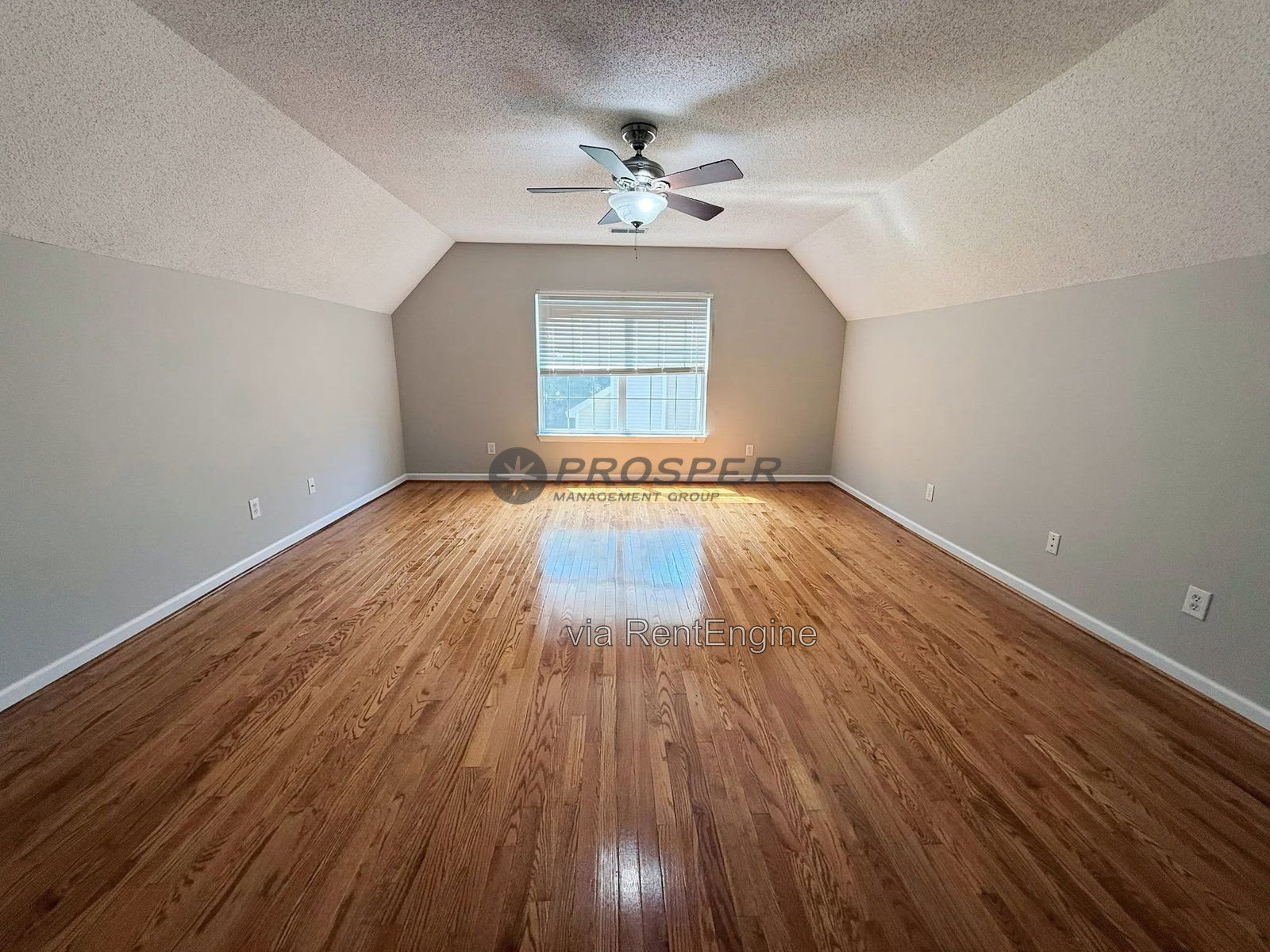 Gallery Image 20