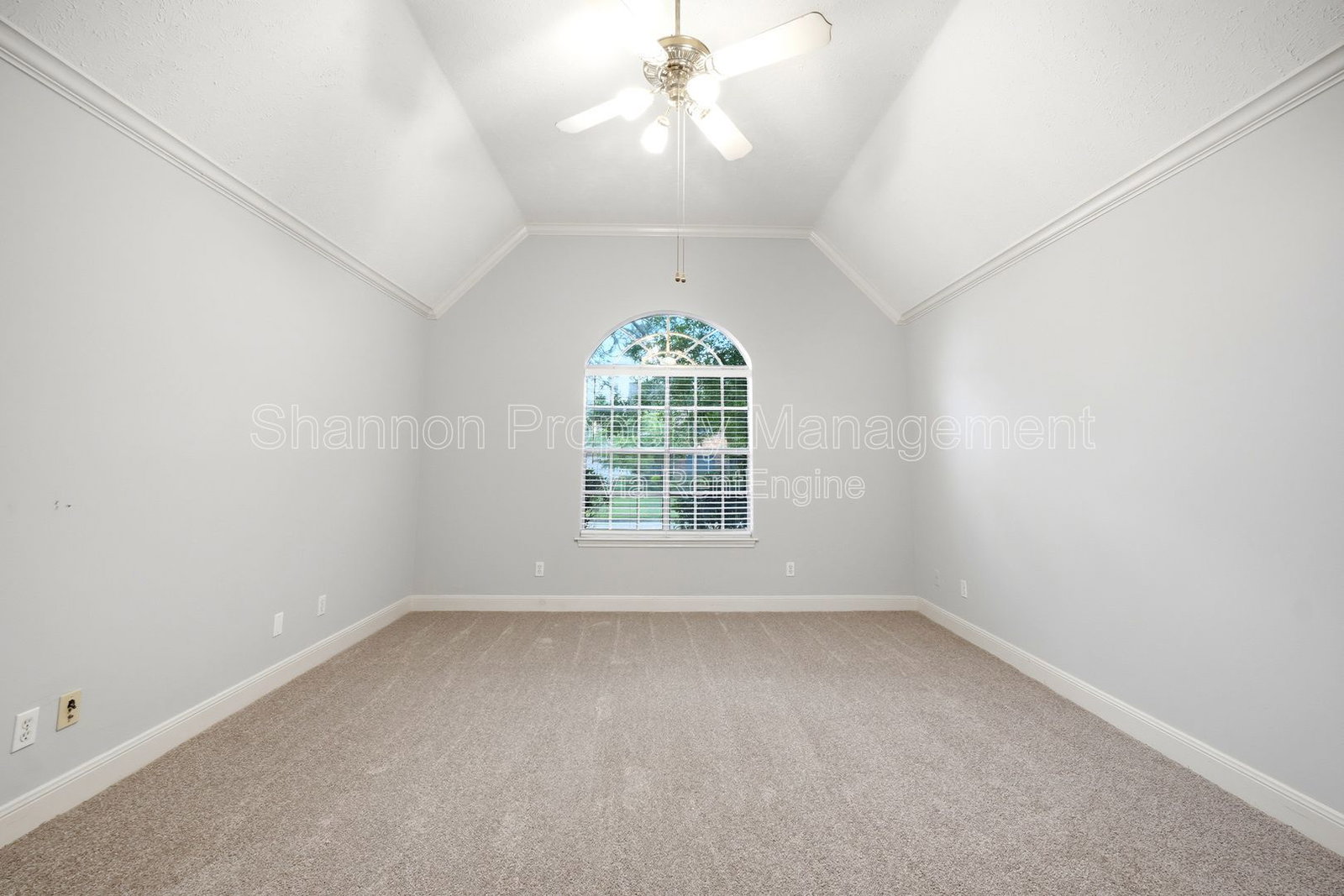 Gallery Image 21