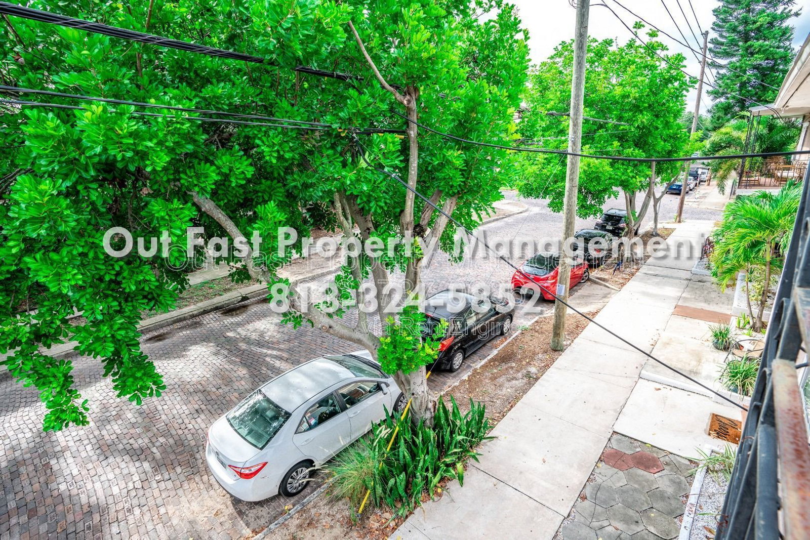 Gallery Image 15