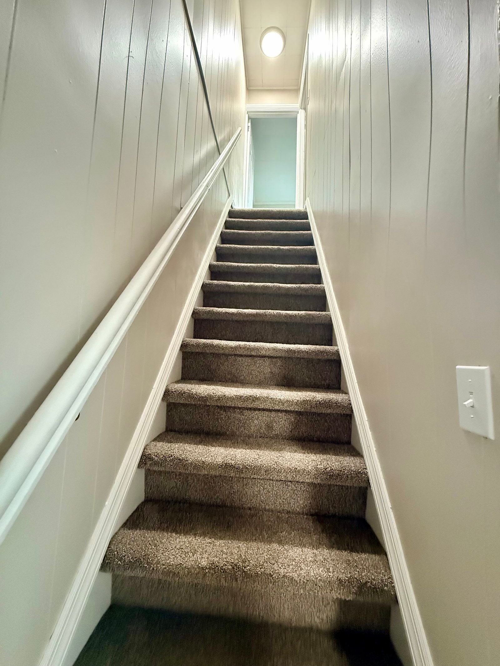 Gallery Image 14