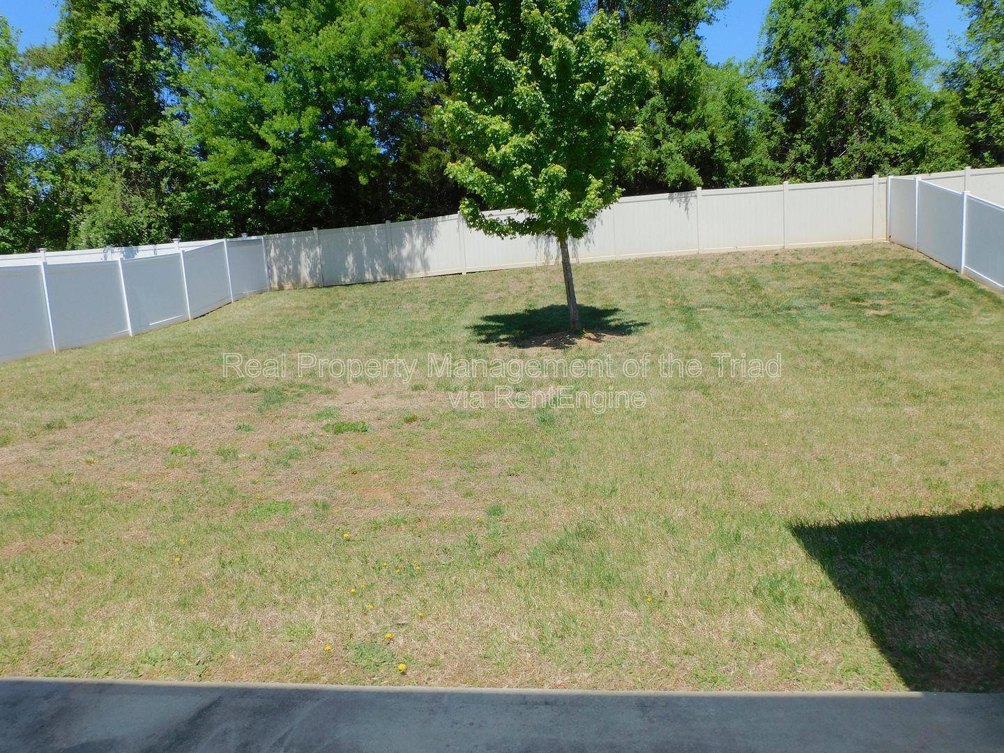 Gallery Image 29
