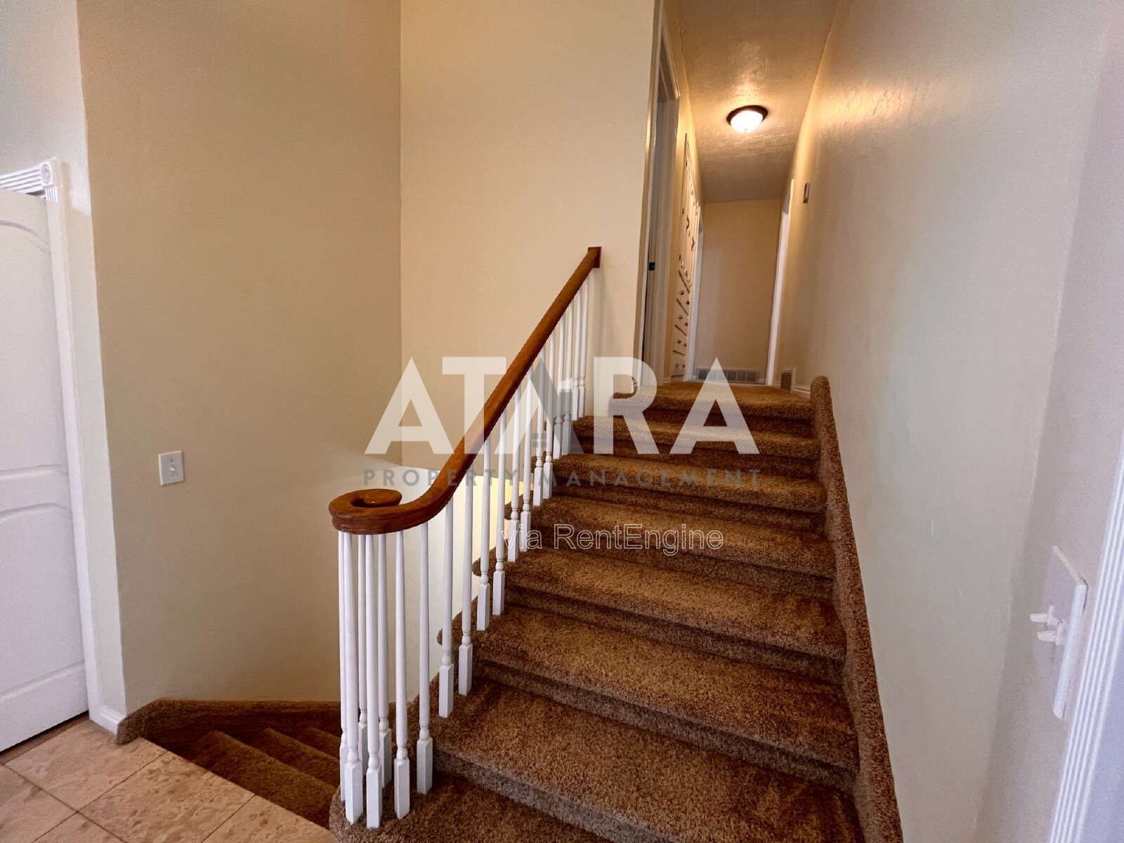 Gallery Image 19