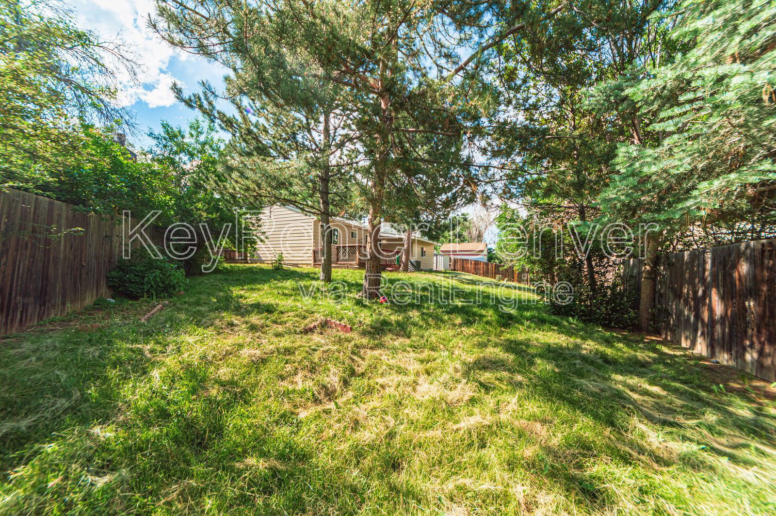 Gallery Image 51