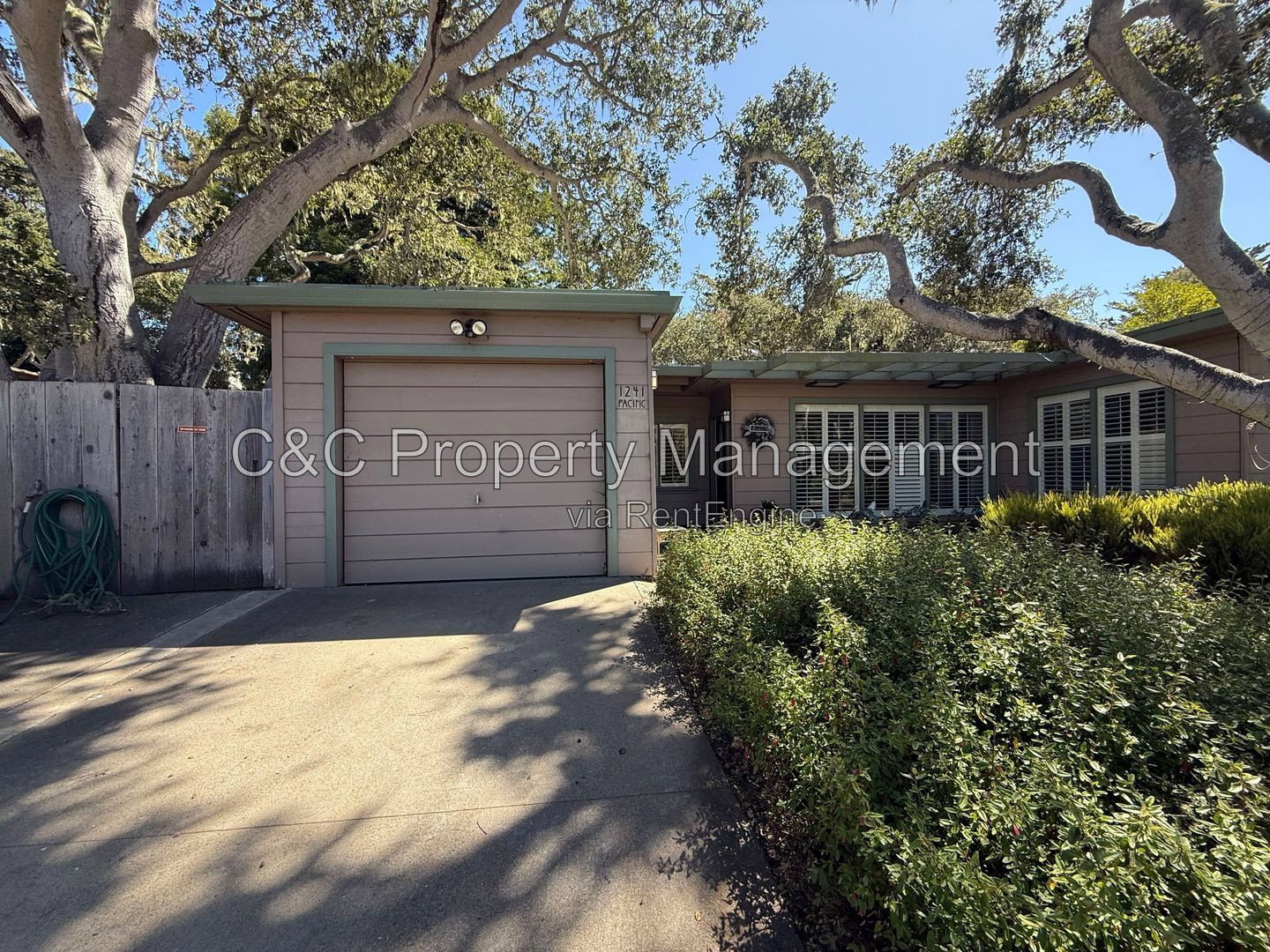 Gallery Image 14