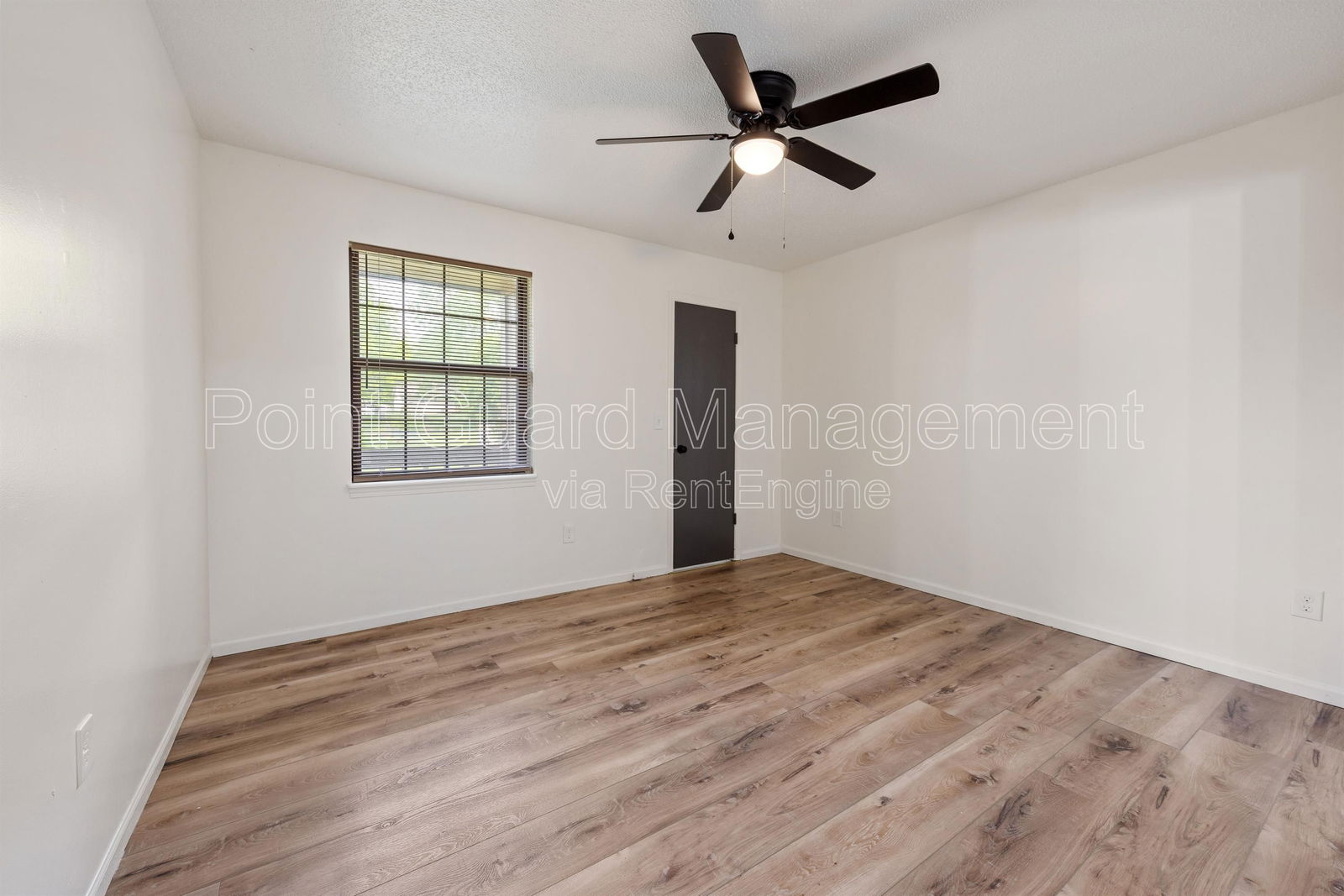 Gallery Image 19