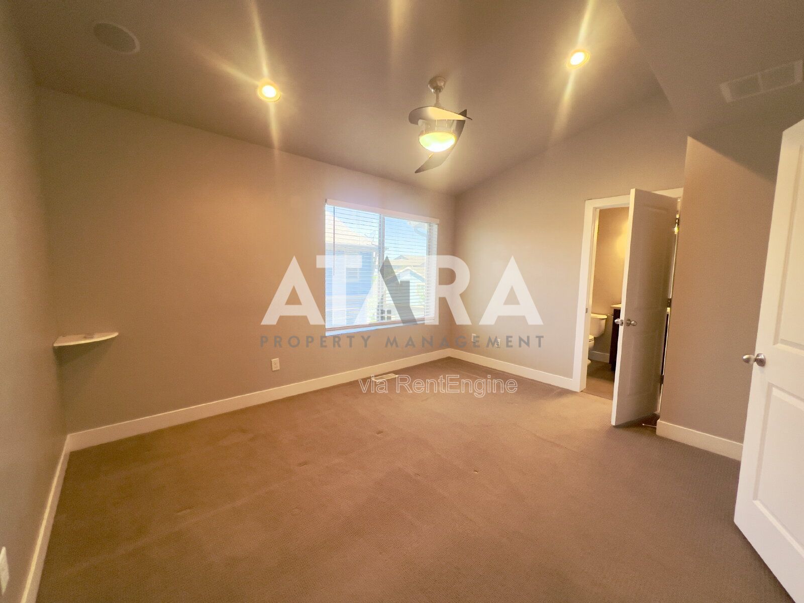 Gallery Image 23