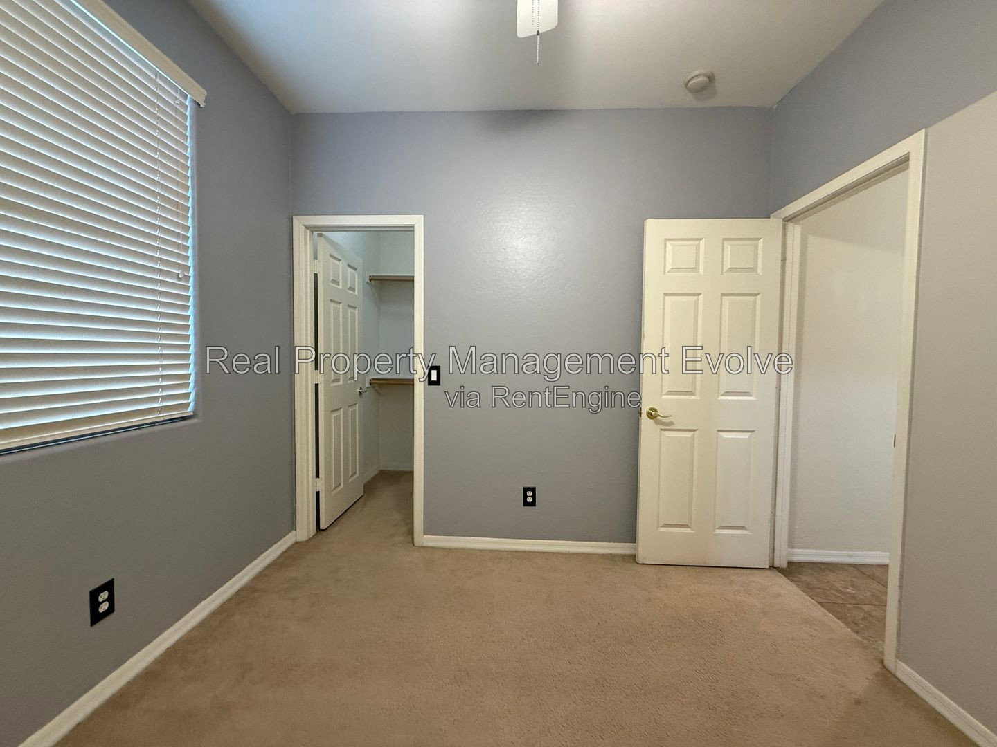 Gallery Image 17