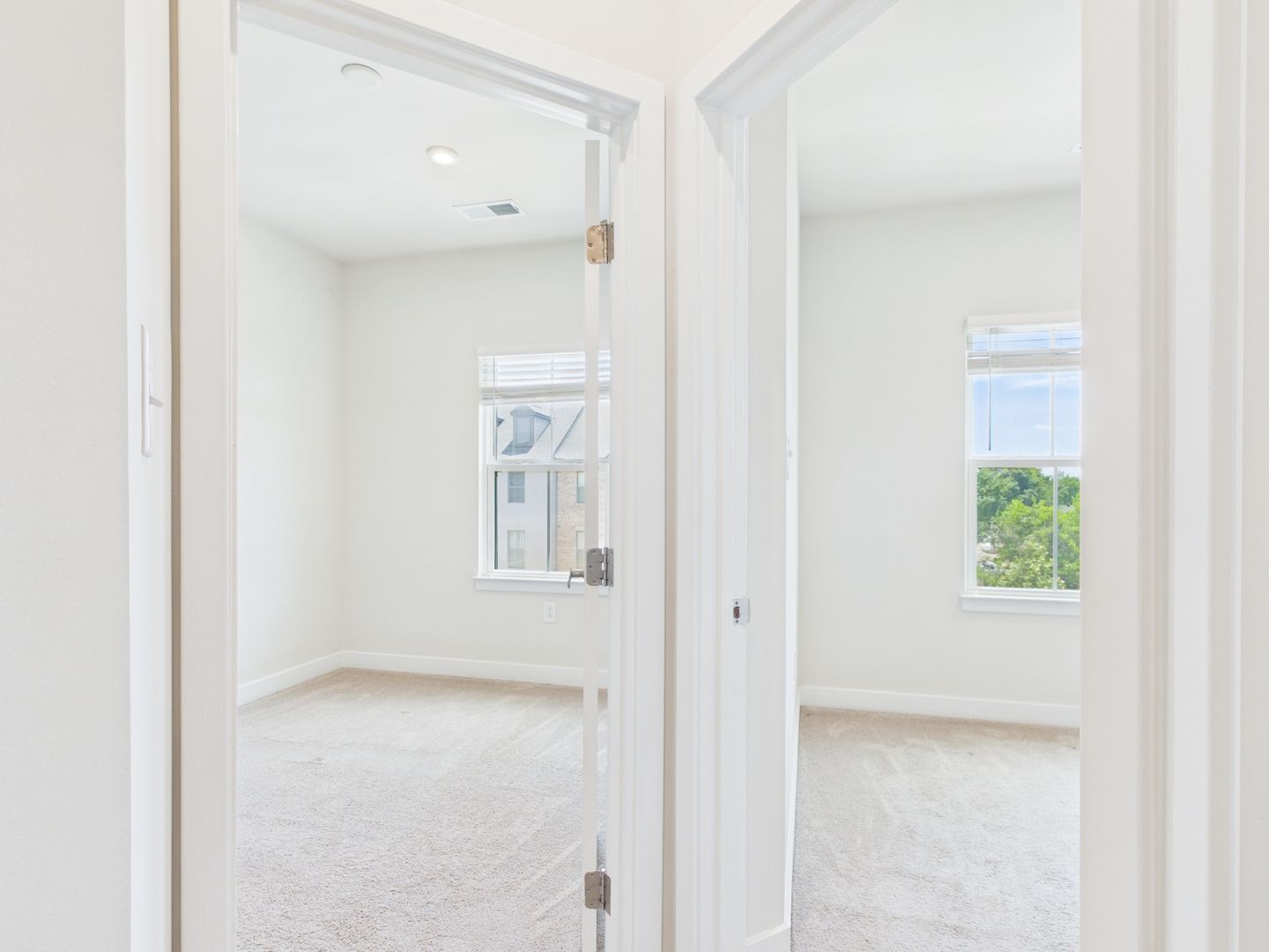 Gallery Image 19