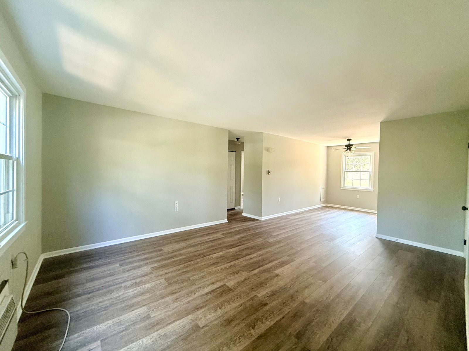 Gallery Image 18
