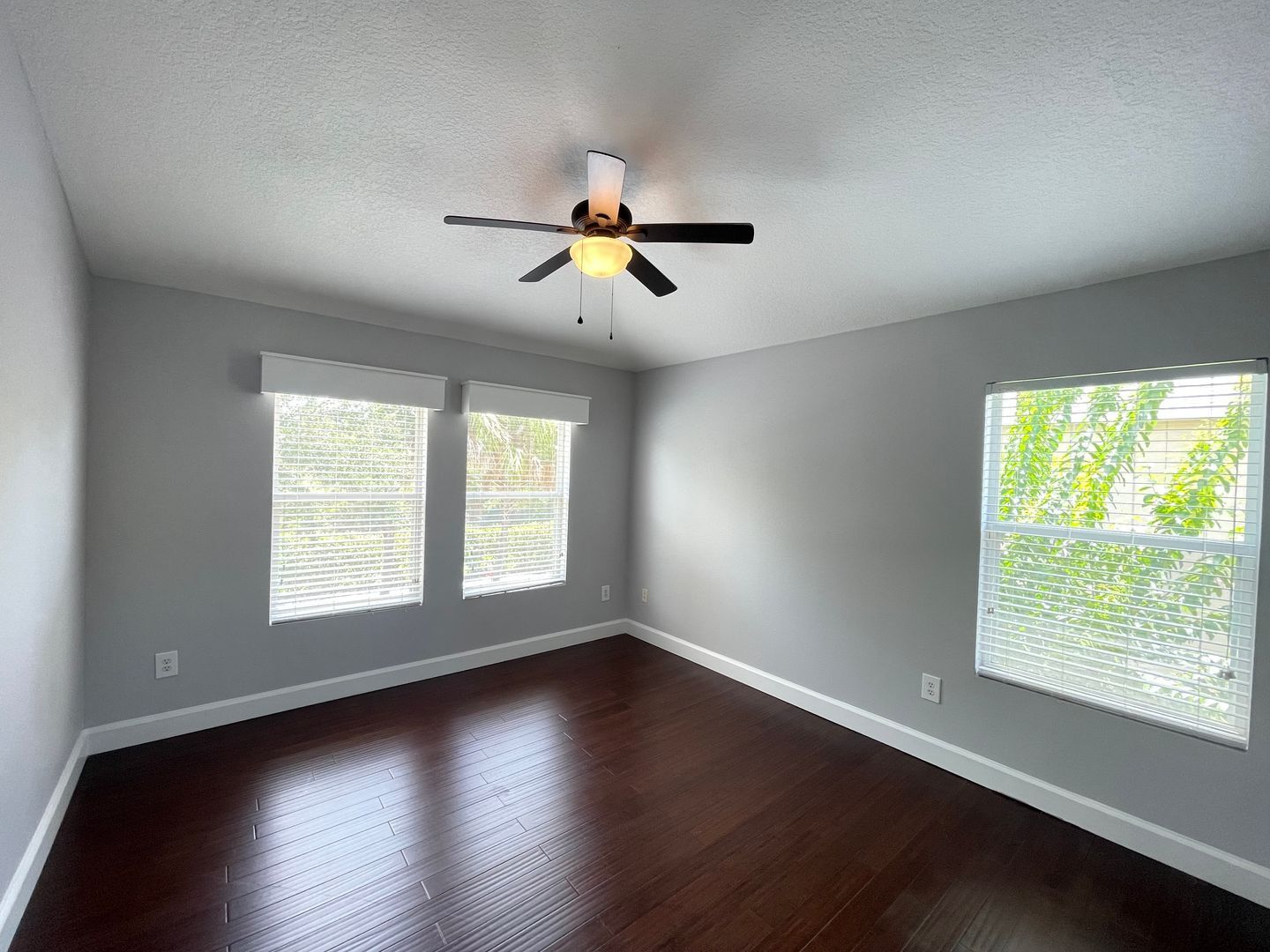 Gallery Image 17