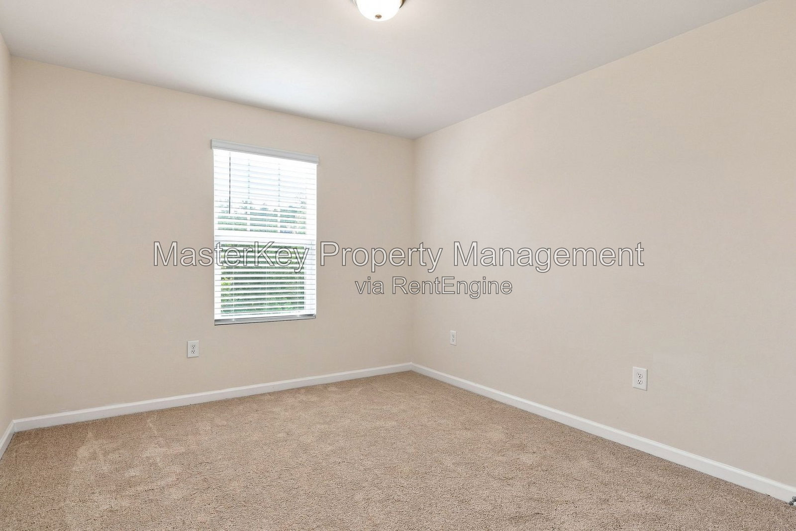 Gallery Image 41