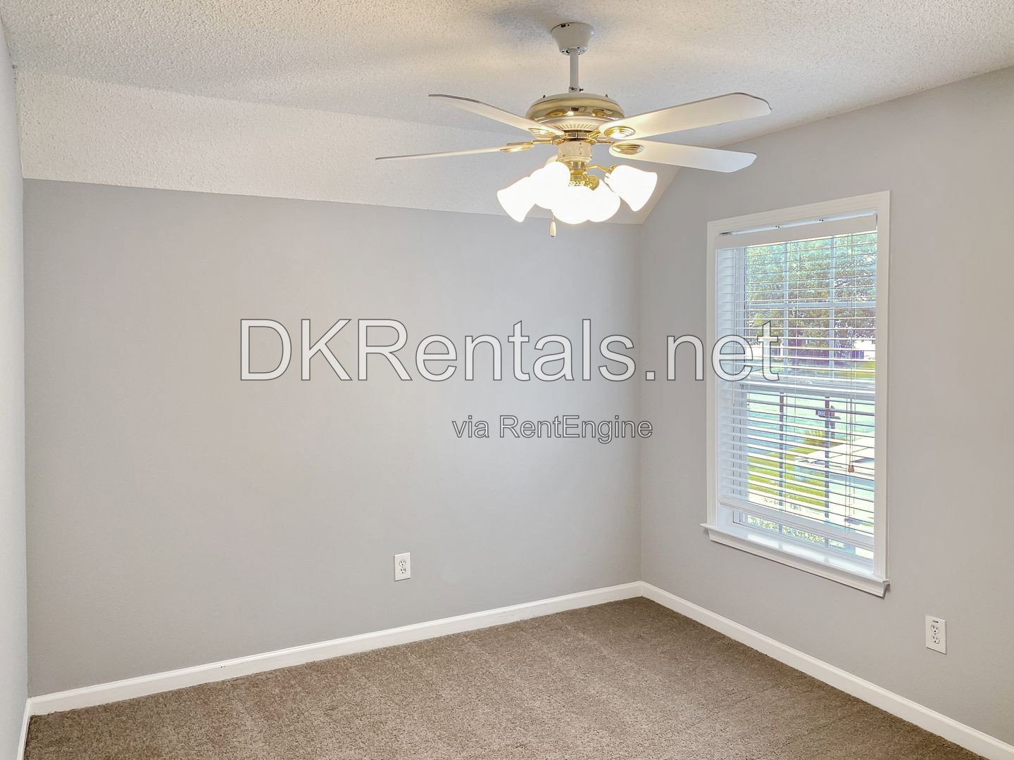 Gallery Image 20