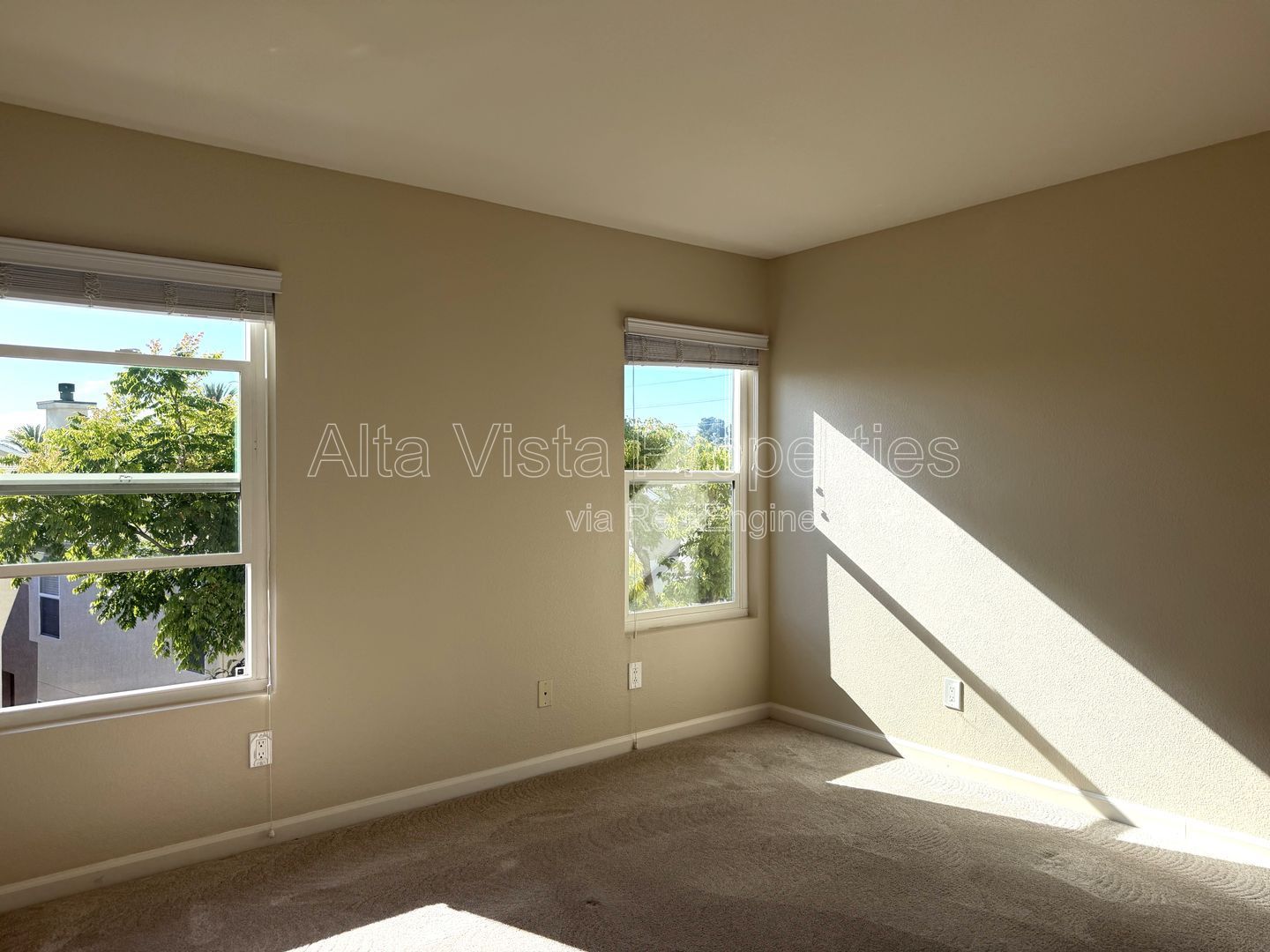 Gallery Image 16