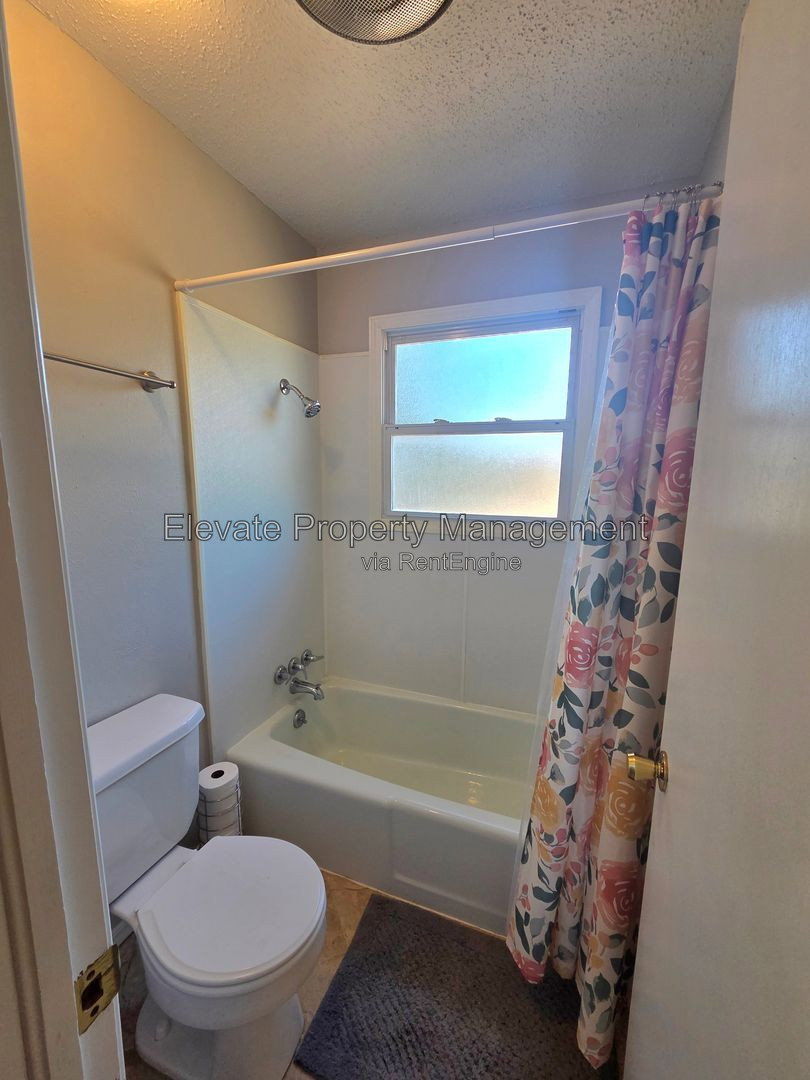 Gallery Image 18