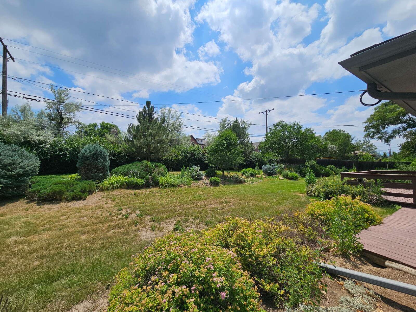 Gallery Image 18