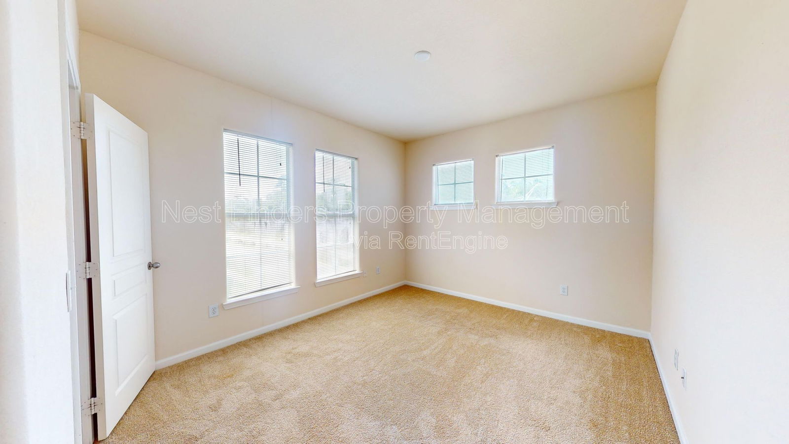 Gallery Image 19