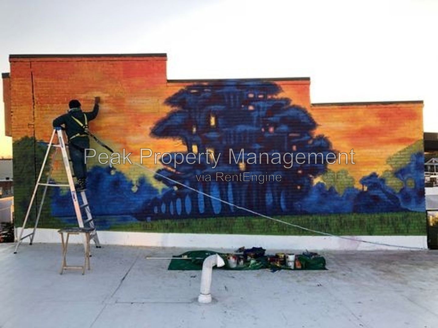 Gallery Image 7