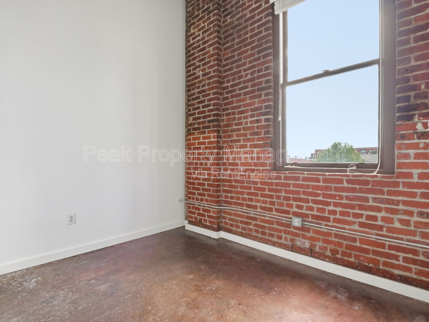 Gallery Image 14
