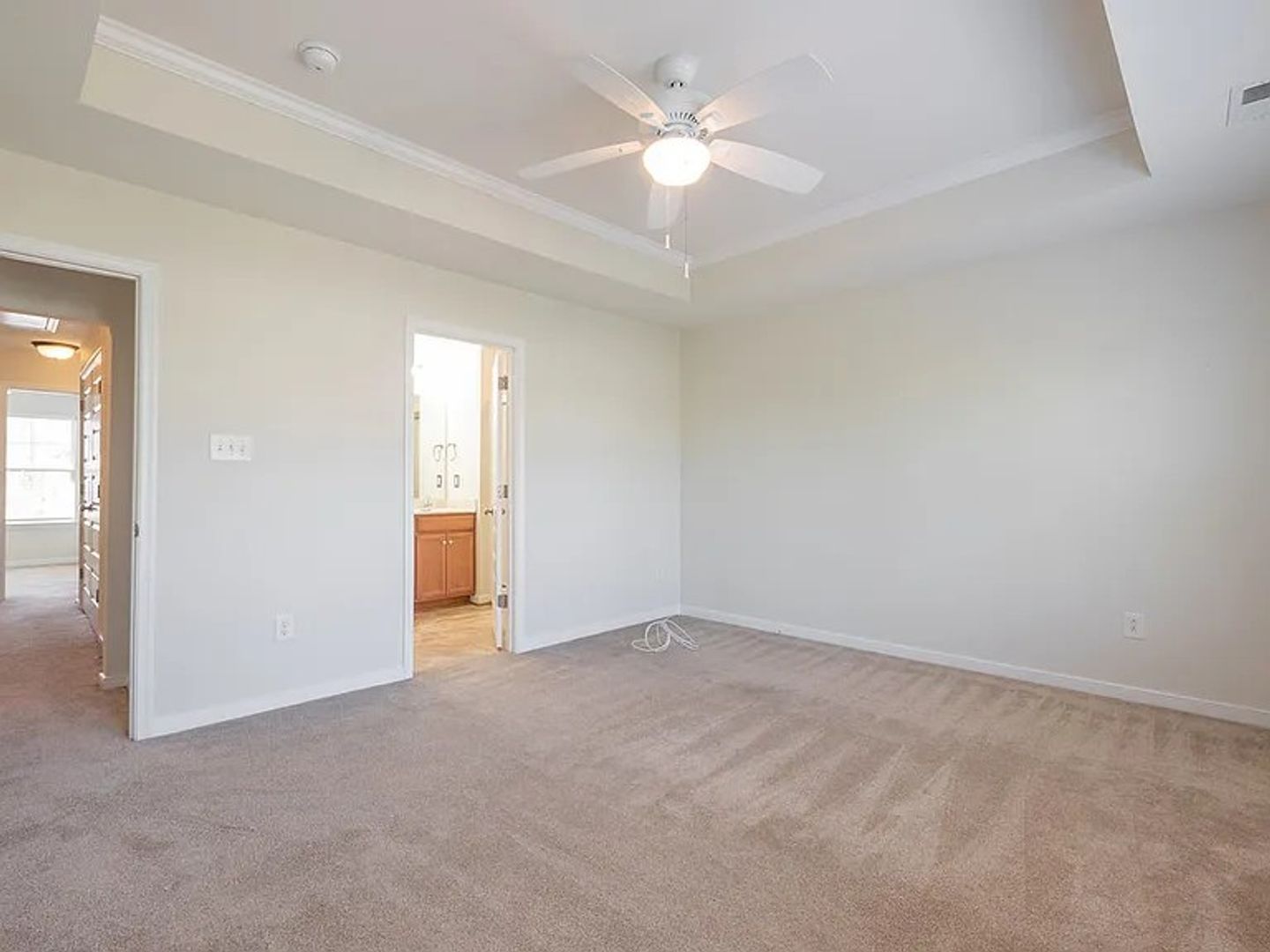 Gallery Image 19
