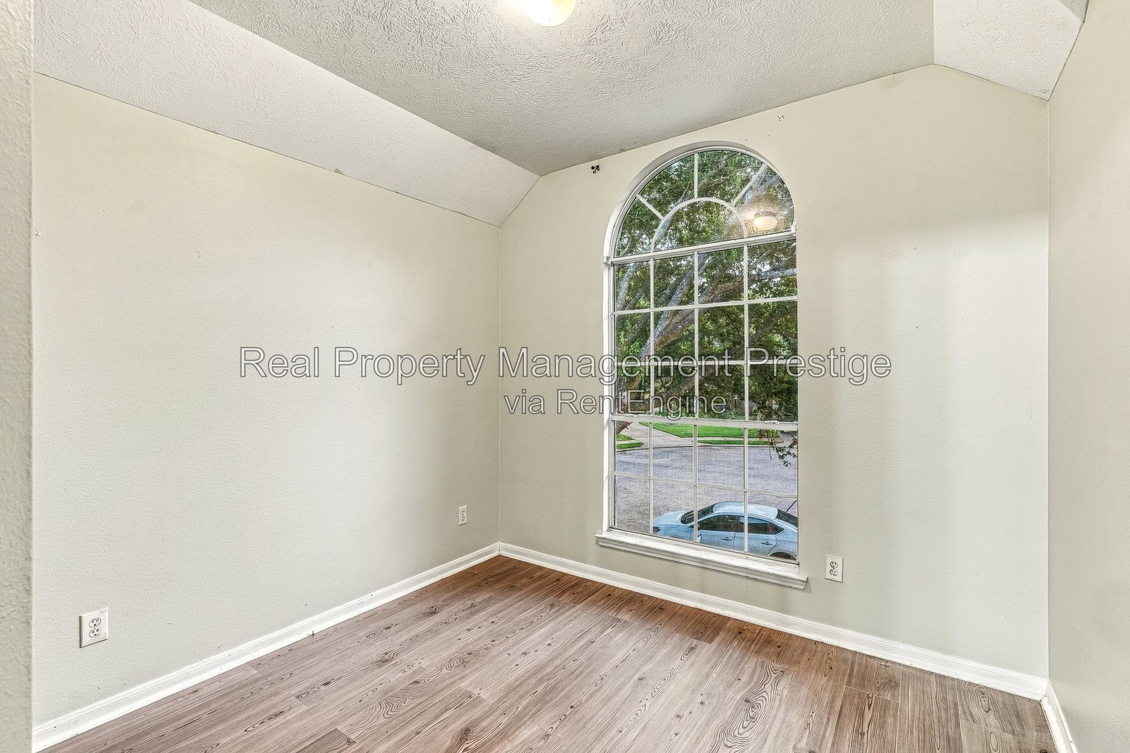 Gallery Image 19