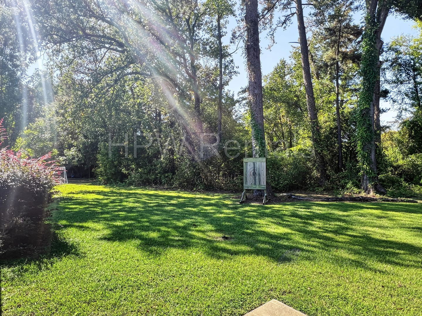 Gallery Image 16