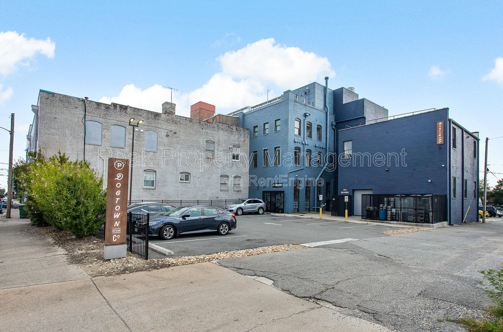 Gallery Image 11