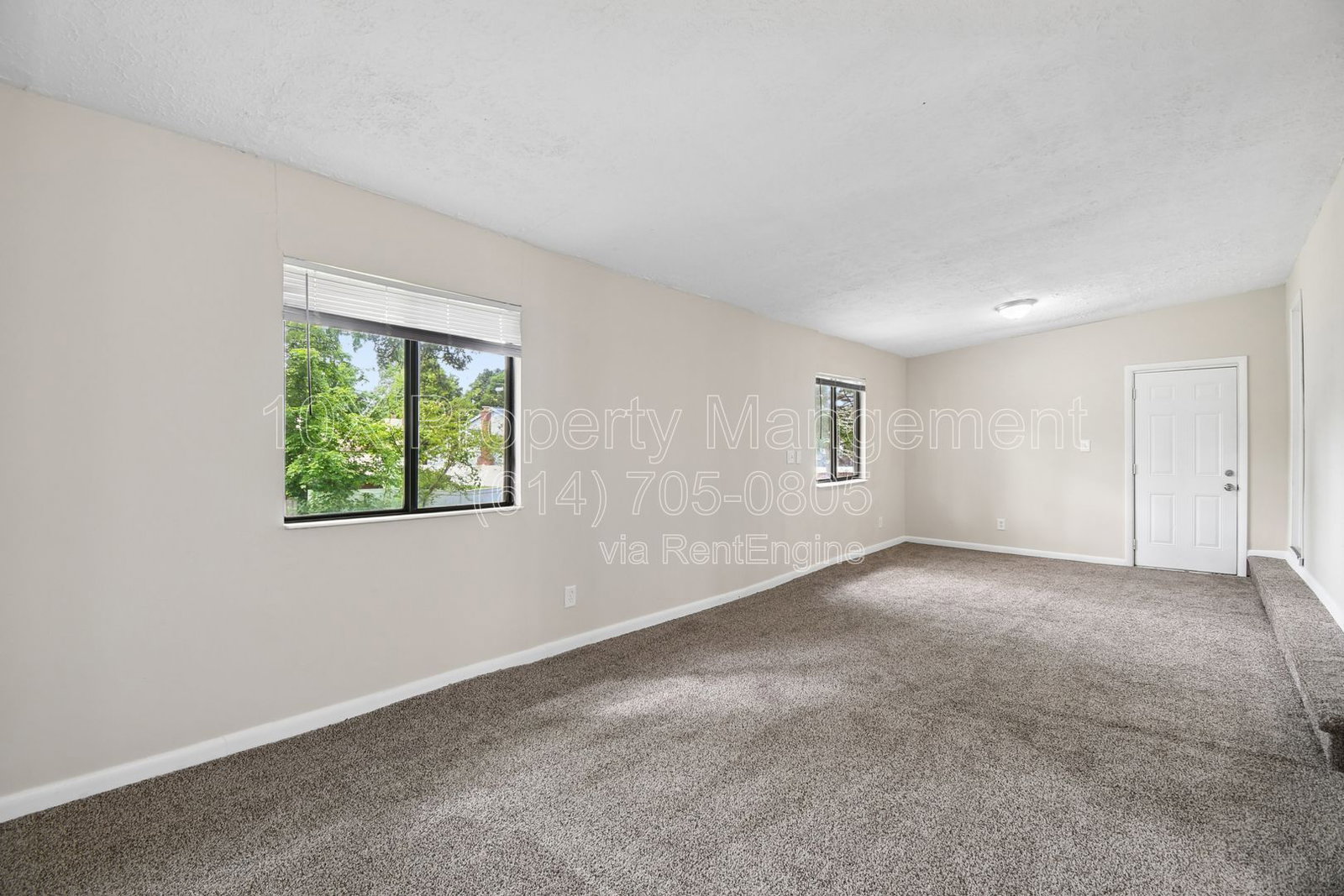 Gallery Image 16