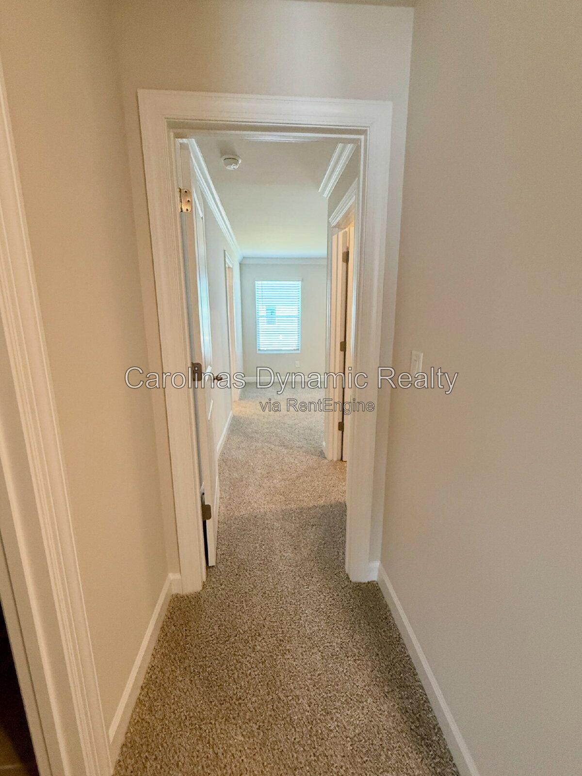 Gallery Image 17
