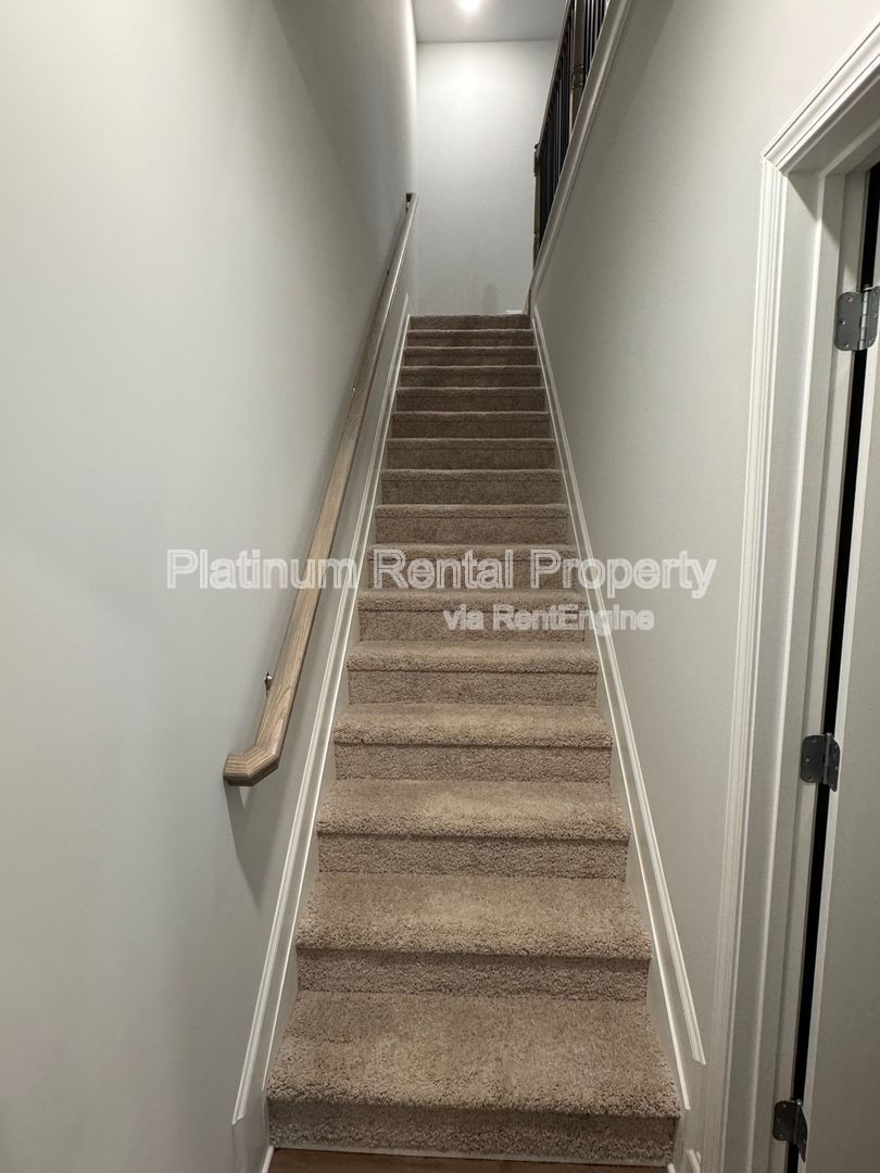 Gallery Image 19