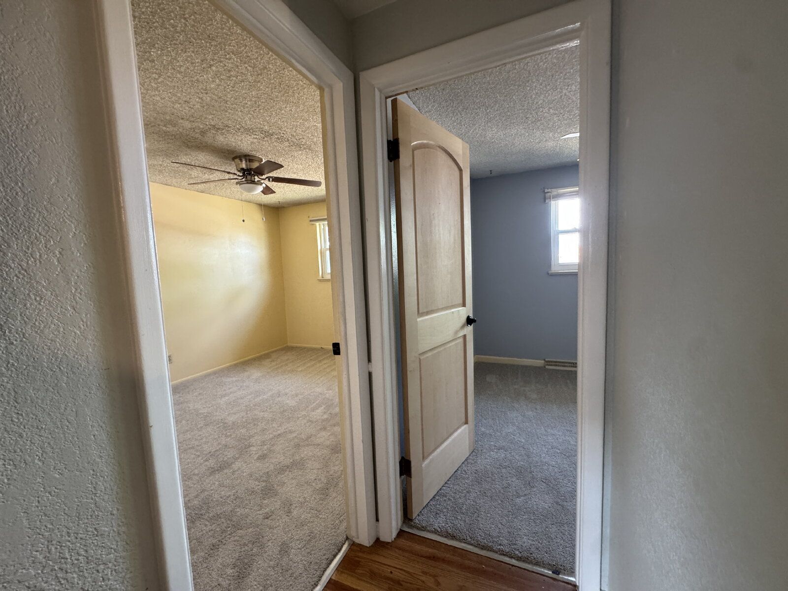 Gallery Image 19