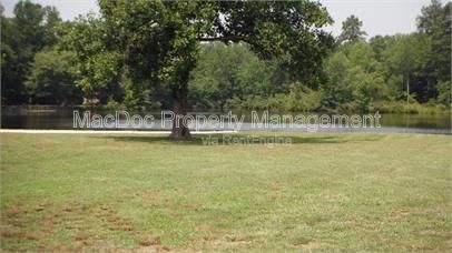 Gallery Image 40