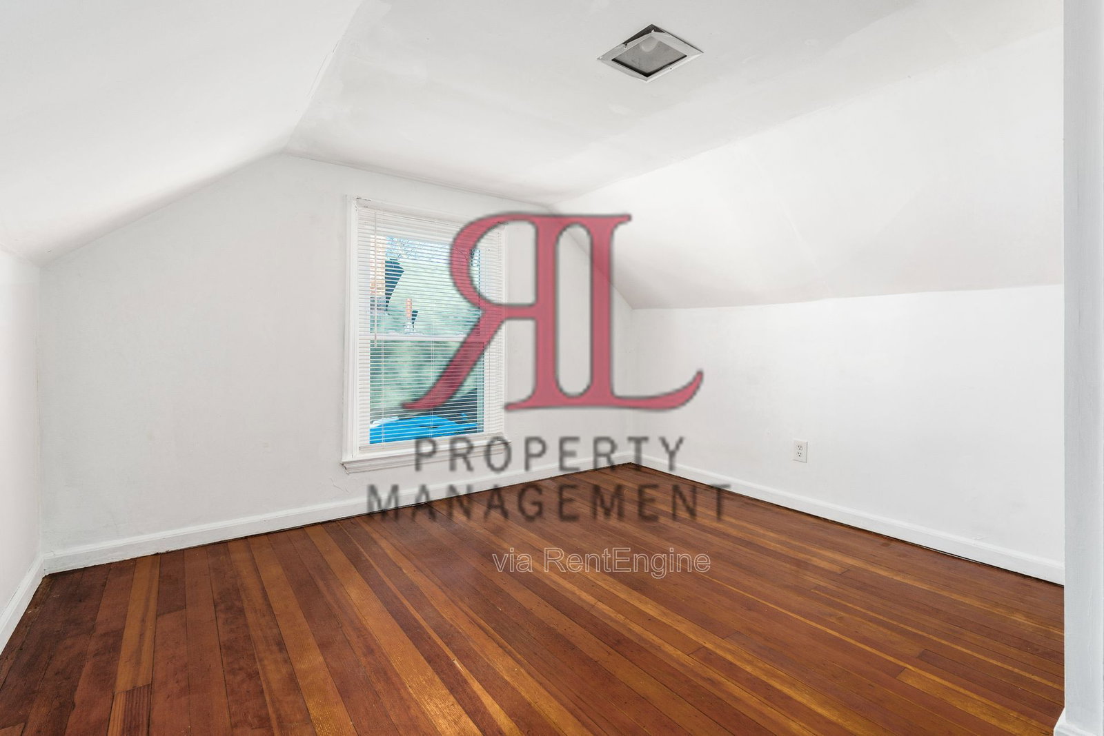 Gallery Image 20