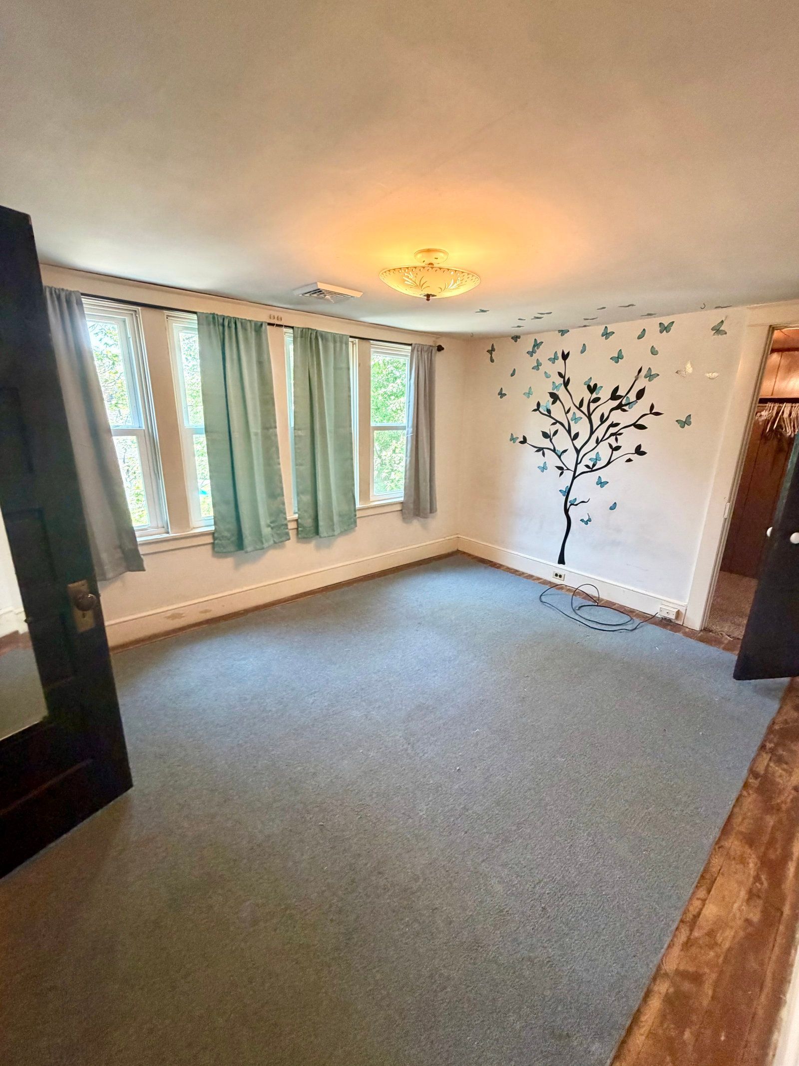 Gallery Image 12
