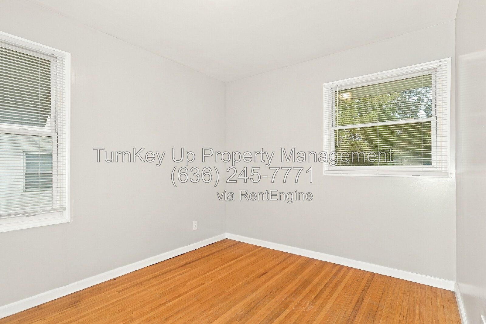 Gallery Image 11