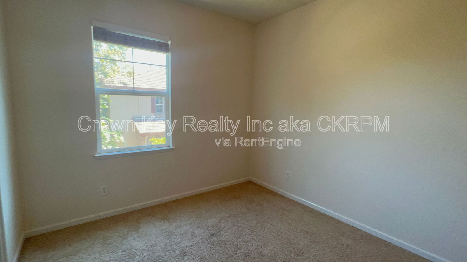 Gallery Image 25