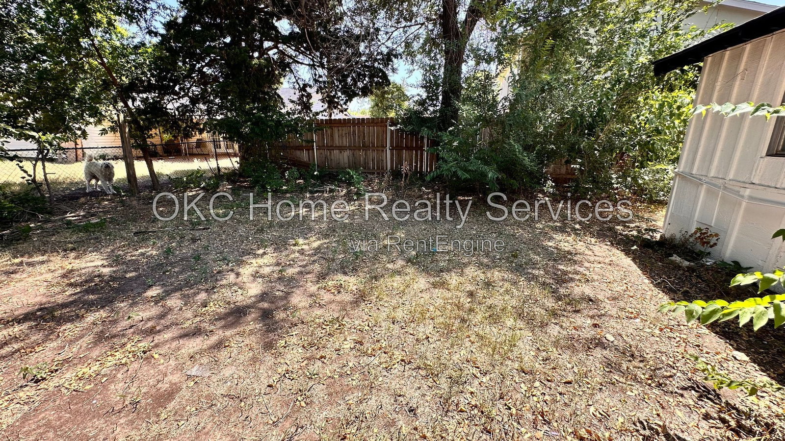 Gallery Image 17
