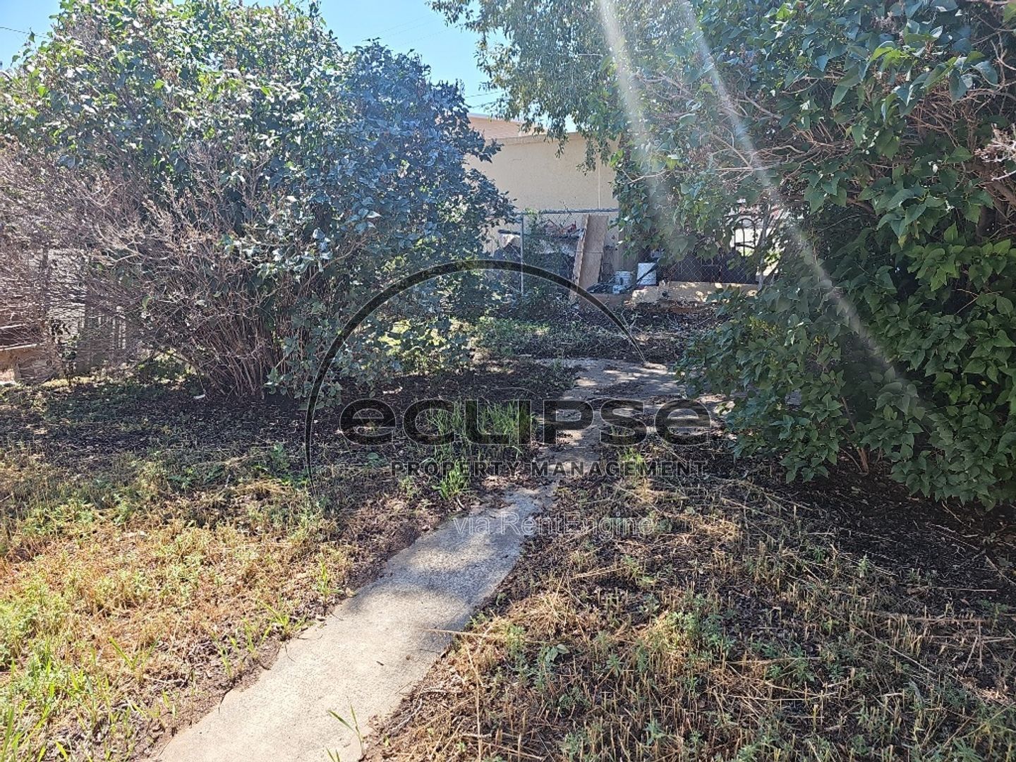 Gallery Image 16