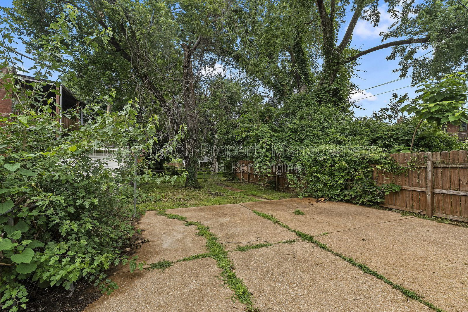 Gallery Image 16