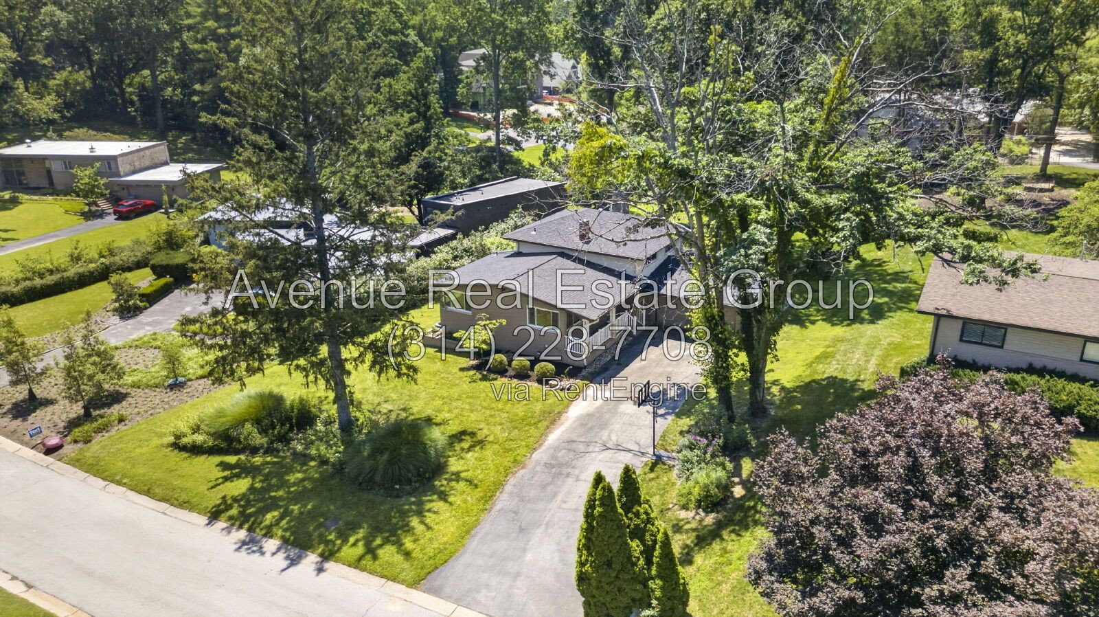 Gallery Image 59