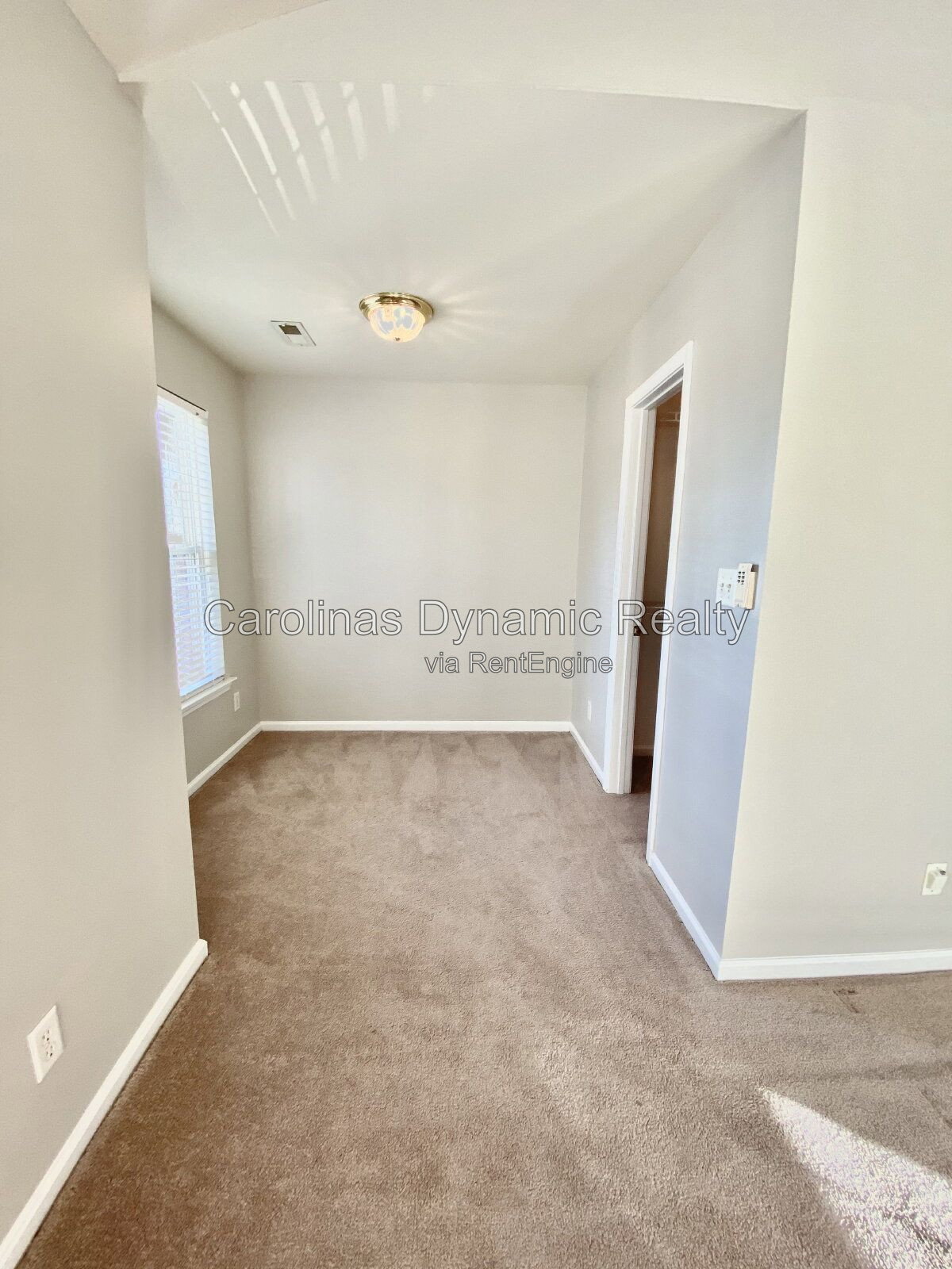 Gallery Image 19