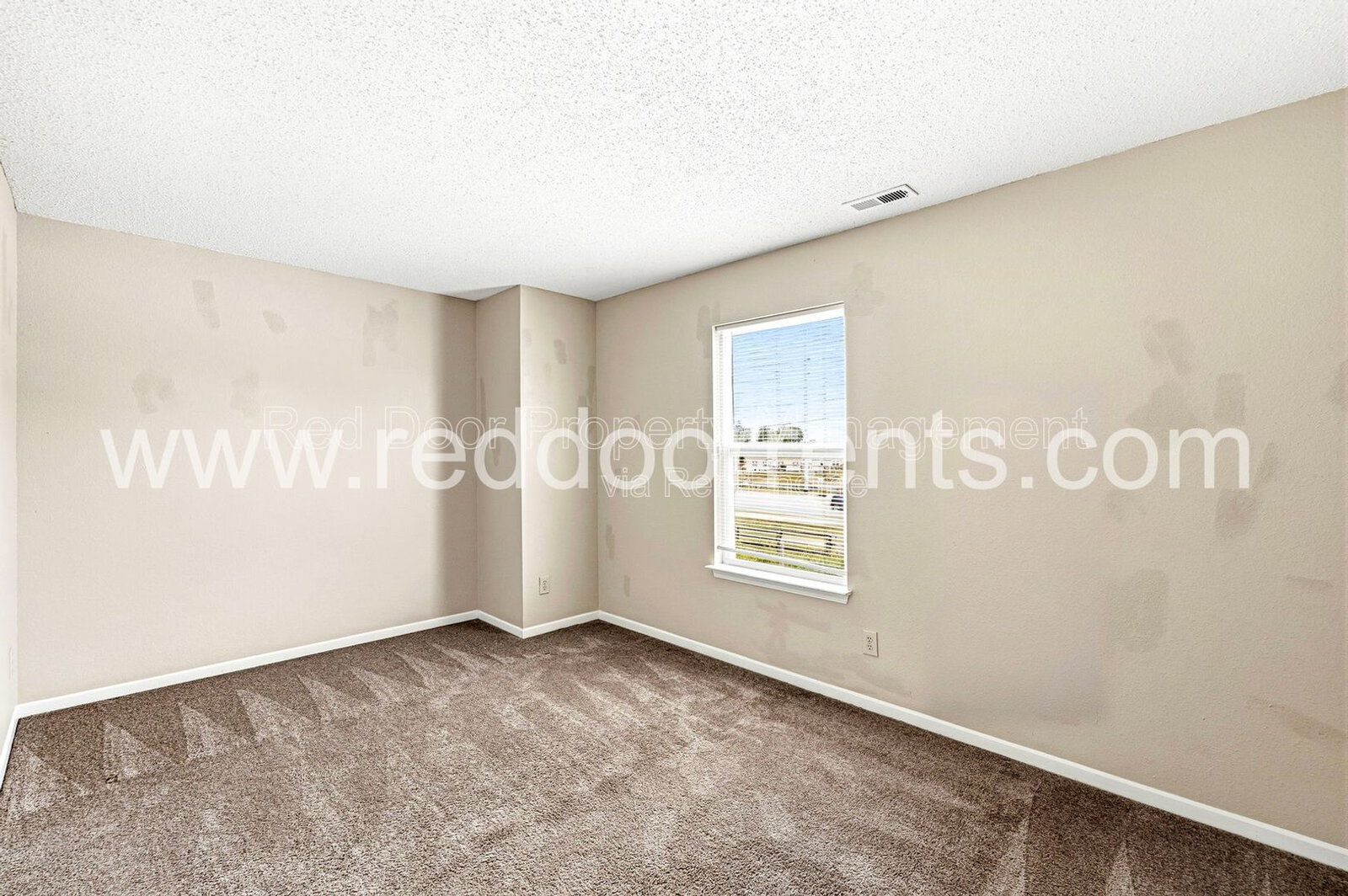 Gallery Image 19