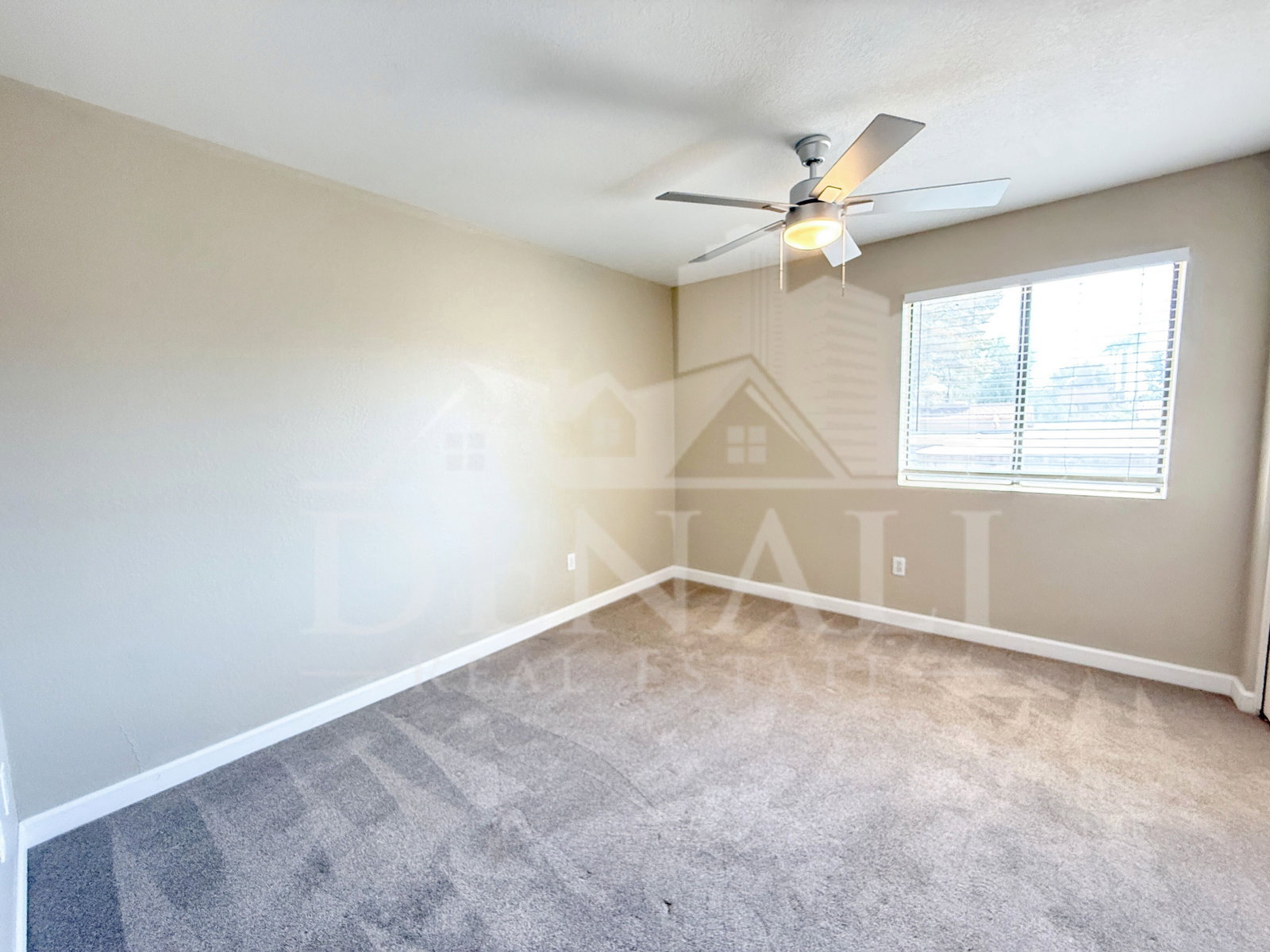 Gallery Image 20